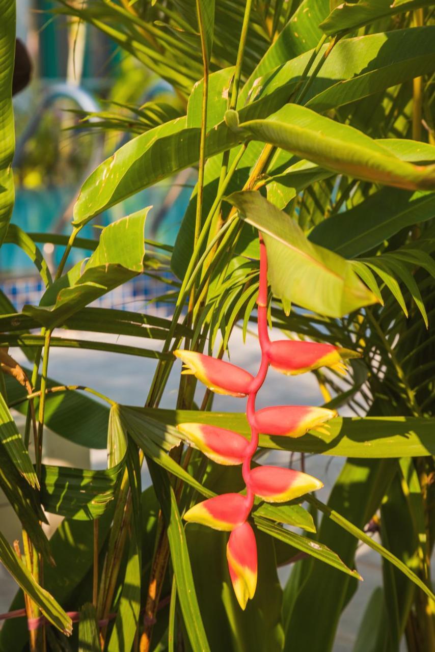 Philip Bungalow Phu Quoc Esterno foto